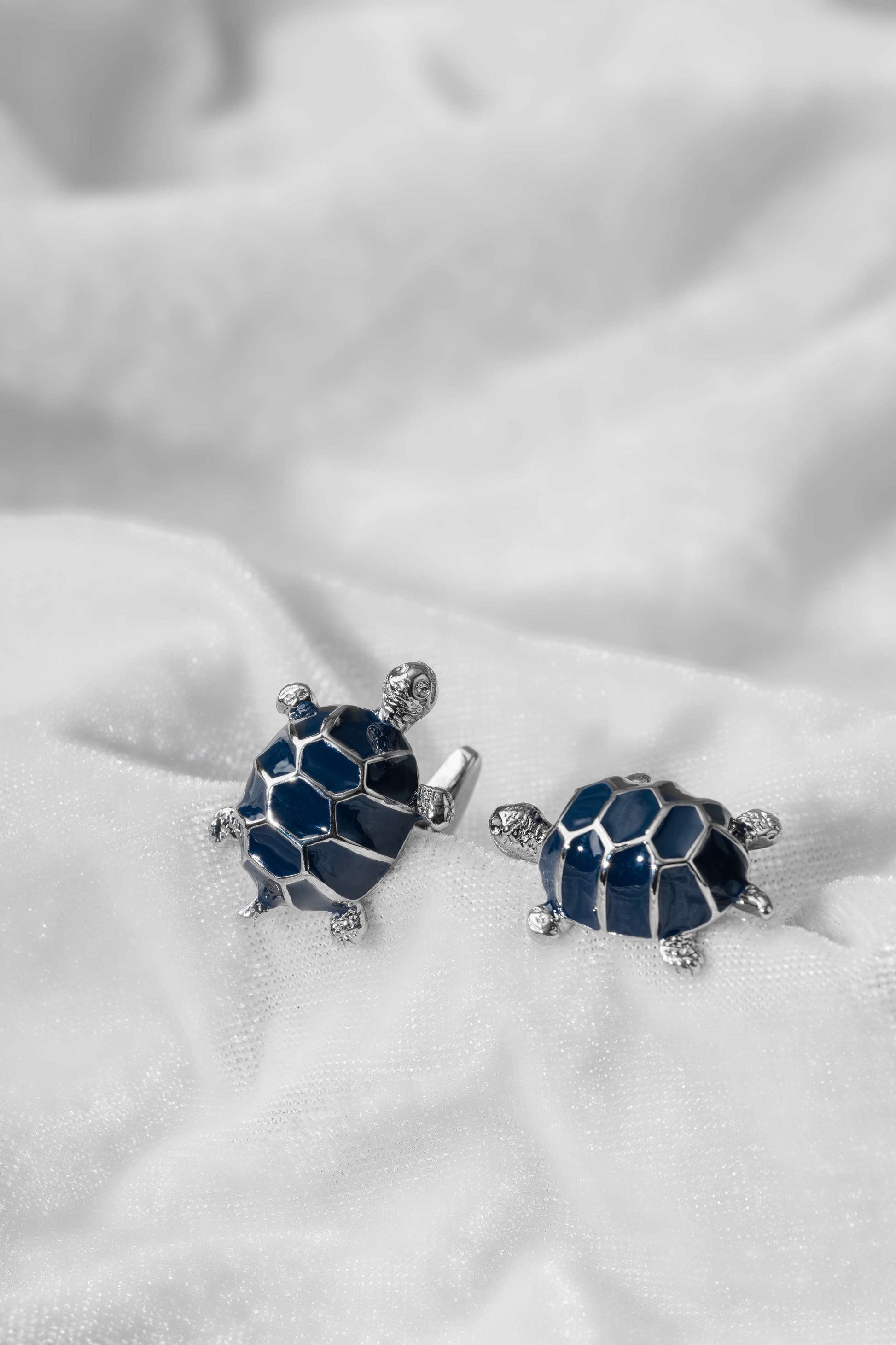 Turtle and Tide