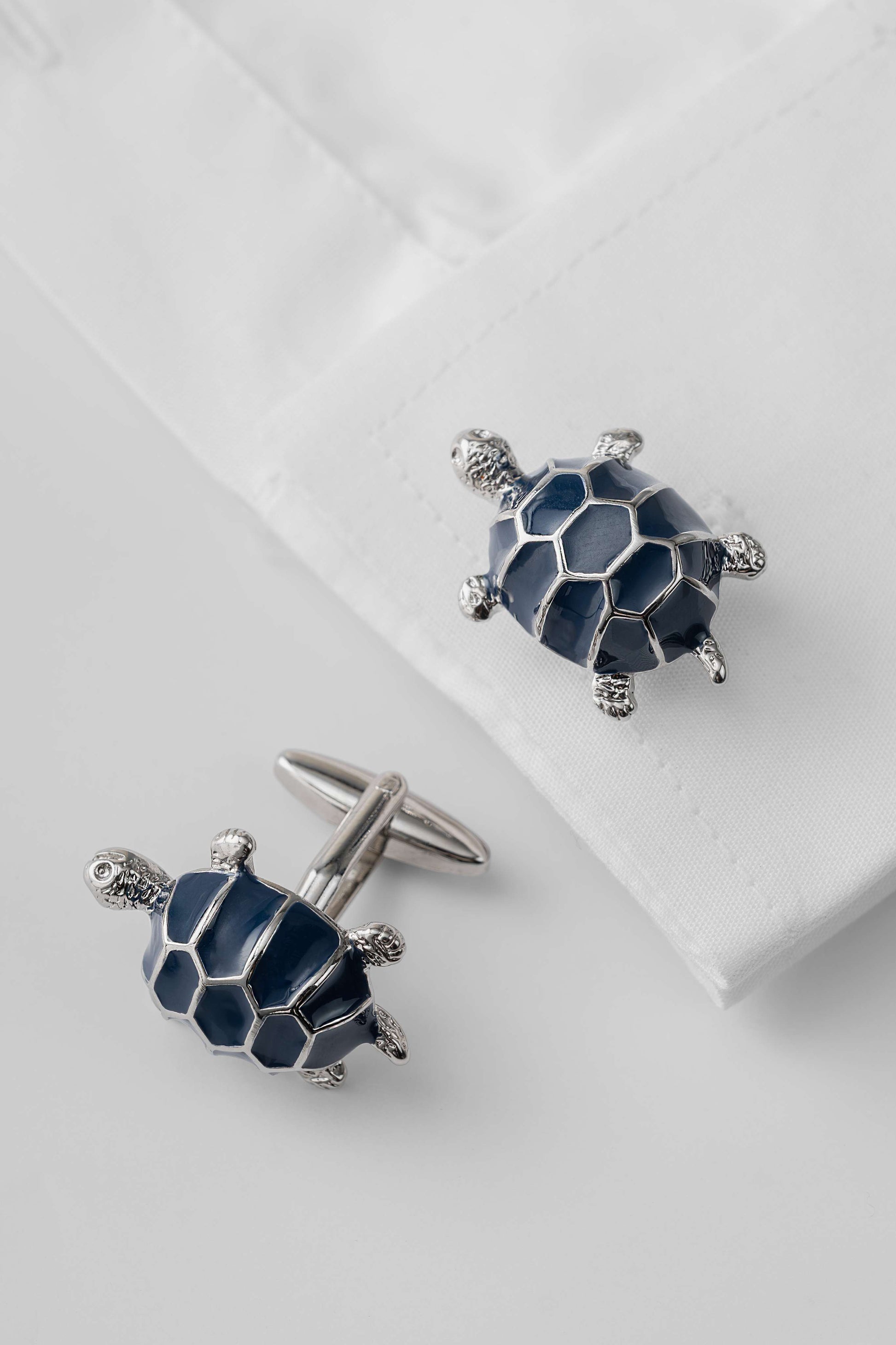 Turtle and Tide